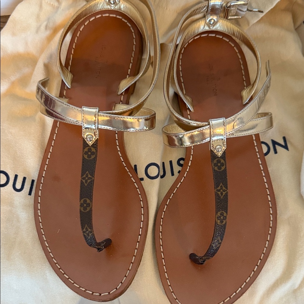 Louis Vuitton Silver and Brown Sandals - Picture 2 of 5